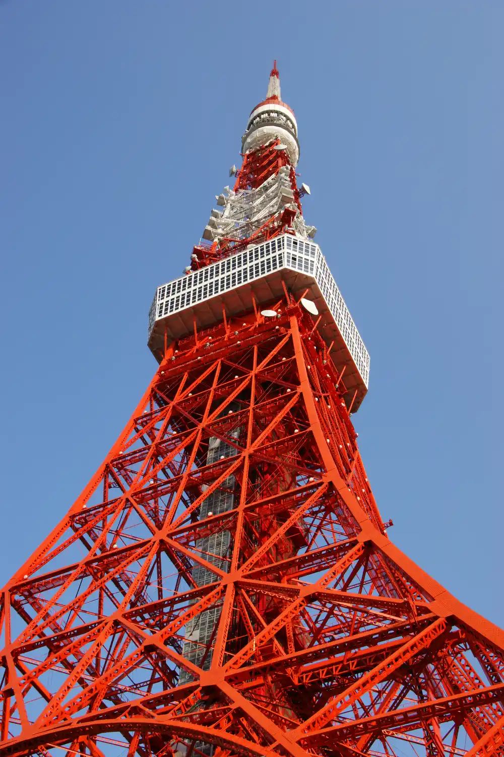 Обложка книги "Robust Client-Side JavaScript"