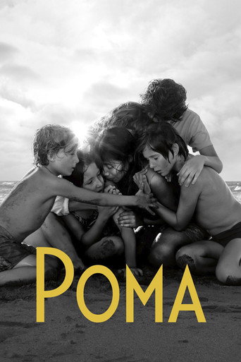Постер фильма «Рома»